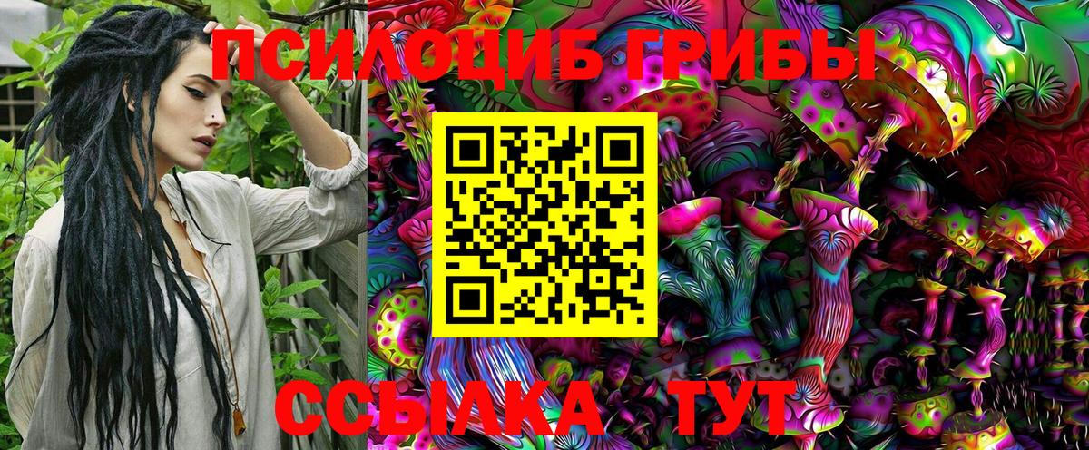 Ачинск  Галлюциногенные грибы Psilocybe  Вход с VPN 